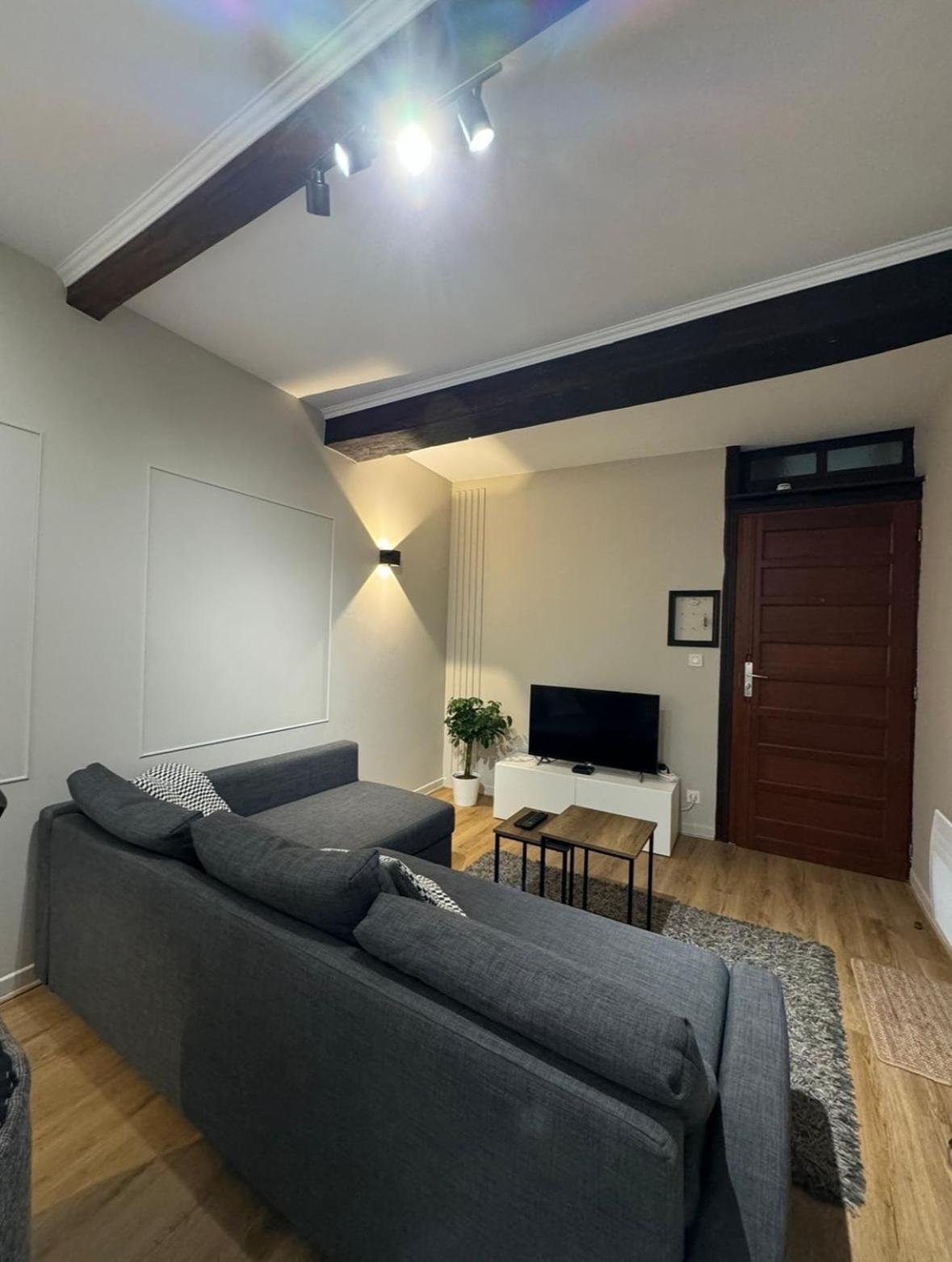 Appartement Charmant Hypercentre Avec Patio Prive Et Parking Orleans Exterior photo