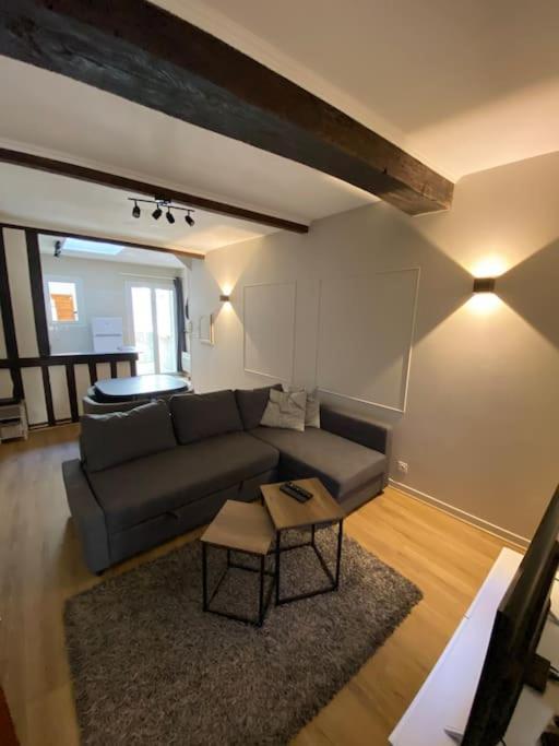 Appartement Charmant Hypercentre Avec Patio Prive Et Parking Orleans Exterior photo